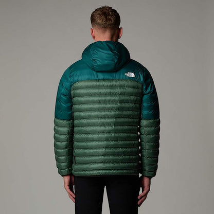 Men's Terra Peak Hooded Jacket