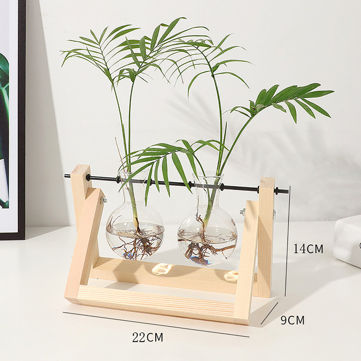 Chikalabs Plant Propagation Swing Stations Glass Terrarium