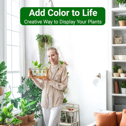 Chikalabs Plant Propagation Swing Stations Glass Terrarium