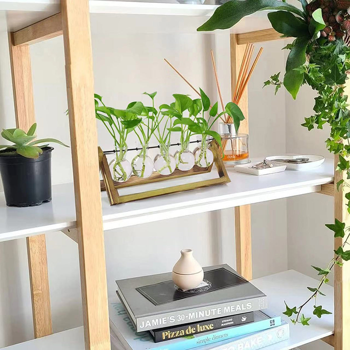 Chikalabs Plant Propagation Swing Stations Glass Terrarium