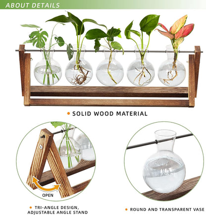 Chikalabs 5 Bulbs Plant Propagation Swing Stations Glass Terrarium