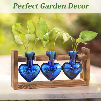 Chikalabs Blue Heart Plant Propagation Stations Glass Terrarium