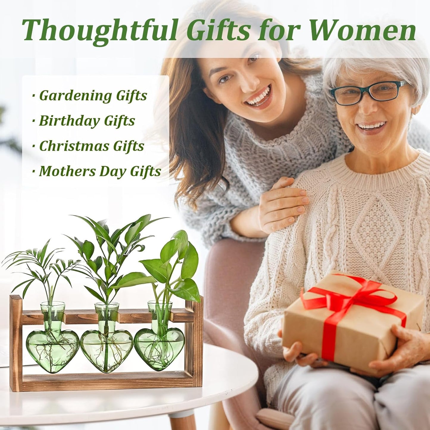 Chikalabs Green Heart Plant Propagation Stations Glass Terrarium