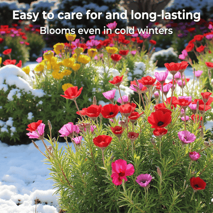 💝Mixed Wild Perennial Flowers Seeds-Over 60 Kinds Mixed