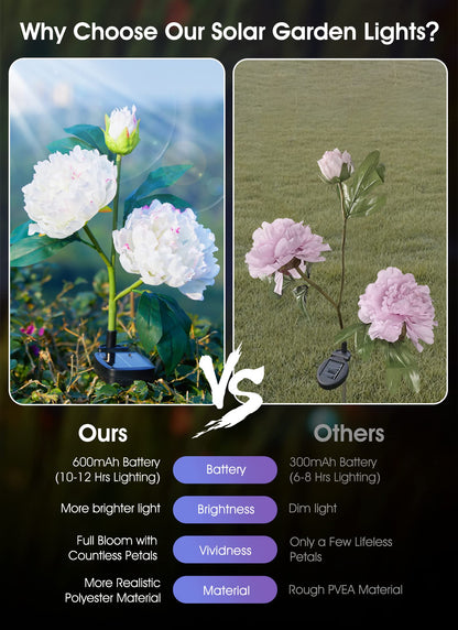 💐Chikalabs Garden Rose Solar Flower Lights